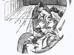ernst mach's drawing that inspired Harding